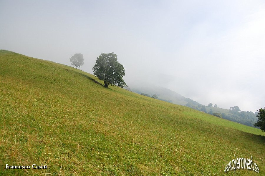 01 I verdi pascoli del Monte Vaccaro.jpg